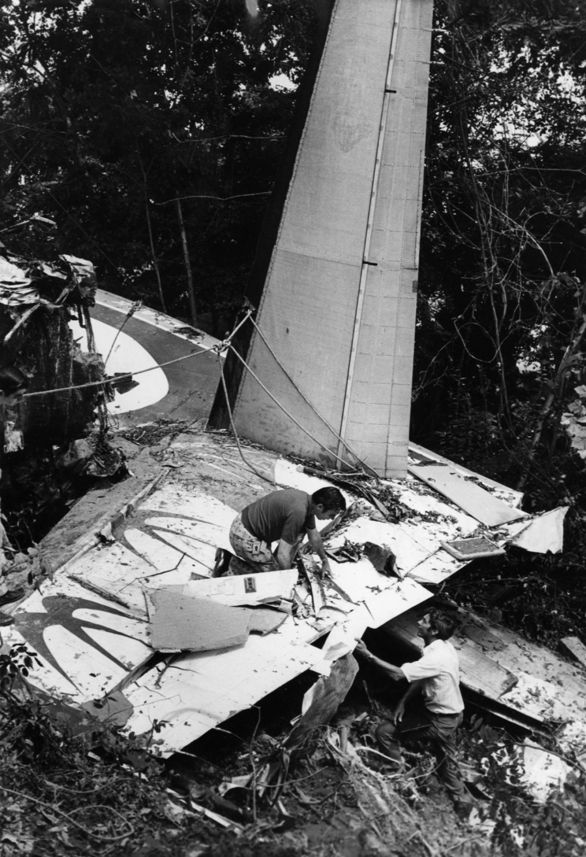 1973 Ozark plane crash